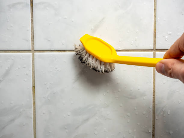Best Residential Mold Removal  in Alorton, IL