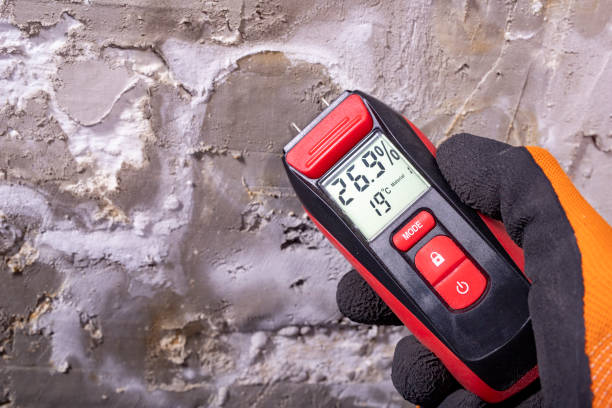 Best Home Mold Removal  in Alorton, IL