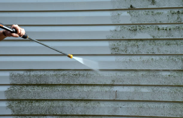 Best Water Damage Restoration  in Alorton, IL
